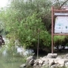 DELTA DUNĂRII.  Proiectul european Restaurarea ecosistemelor acvatice din zona lacurilor ȘONTEA - FORTUNA, la final