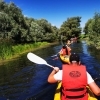 „Ecoturismul în cea mai sigură destinație turistică - Delta Dunării”