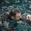 De ce delfinarii, grădini zoologice și circuri?