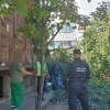 Verificarea ordinii, a liniștii publice și a curățeniei în municipiul Constanța, în vizorul permanent al polițiștilor locali!