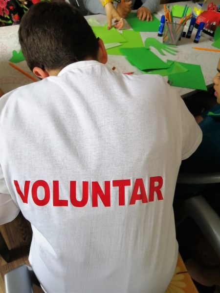 Voluntariatul – o săptămână în prim plan, în municipiul Medgidia