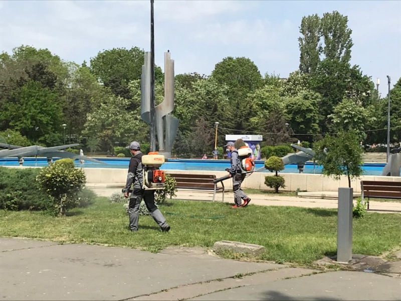 Primăria Municipiului Constanța continuă acțiunile de dezinsecție cu accent pe zona parcurilor, scuarurilor și promenadelor, unde este favorizată înmulțirea insectelor