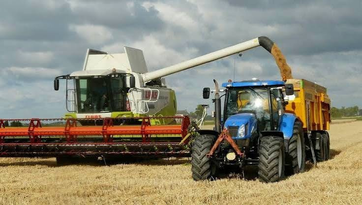 În atenția micilor fermieri din sectorul agricol - comuna Cumpăna