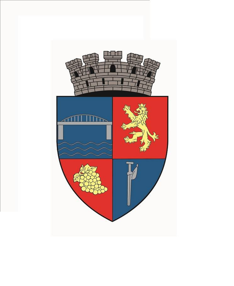 Proiecte importante aprobate în ședința ordinară a Consiliului Local Municipal Medgidia