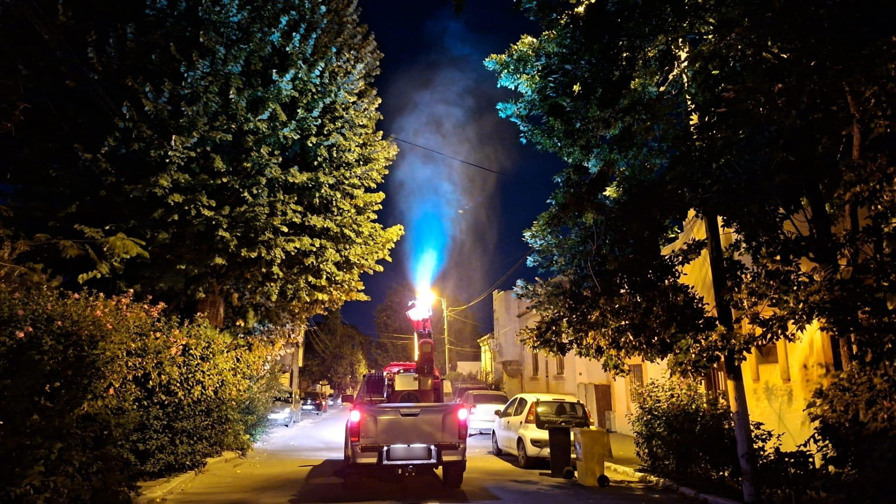 Intervenții pentru combaterea insectelor în Constanța și Mamaia
