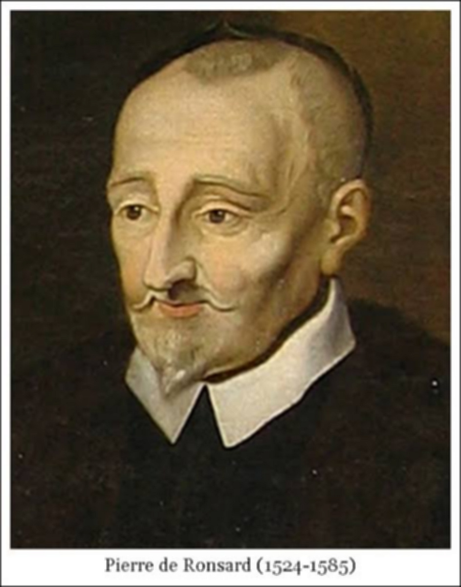 SONETUL zilei