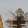 Sărbătoarea Sfântului Nicolae la Constanța. Unde va sluji IPS Teodosie
