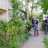 Primăria Municipiului Constanța asigură dezinsecția spațiilor verzi din oraș