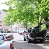 Primăria Municipiului Constanța asigură dezinsecția spațiilor verzi din oraș