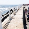 Zona de promenadă din Portul Tomis a fost redată circulației pietonale