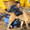 Încă o poveste cu final fericit la Adăpostul public de animale abandonate din Constanța!