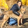 Încă o poveste cu final fericit la Adăpostul public de animale abandonate din Constanța!