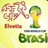 C. M. DE FOTBAL, din Brazilia: ELVEŢIA - ECUADOR 2 - 1 (0 - 1), în Grupa E