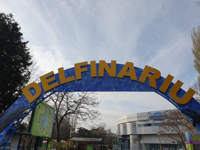 Delfinii, Planetele și Microrezervația, la preț redus. Cât costă o vizită la Complexul Muzeal din Constanța în această toamnă