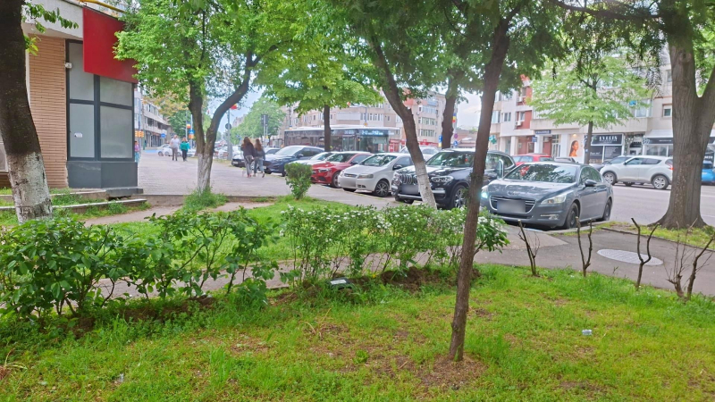 Primăria Constanța continuă acțiunile de deratizare, necesare pentru menținerea sănătății întregului oraș