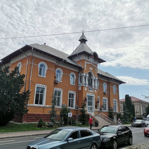 19 proiecte de hotărâre, aprobate în ședința ordinară a lunii iunie la Medgidia