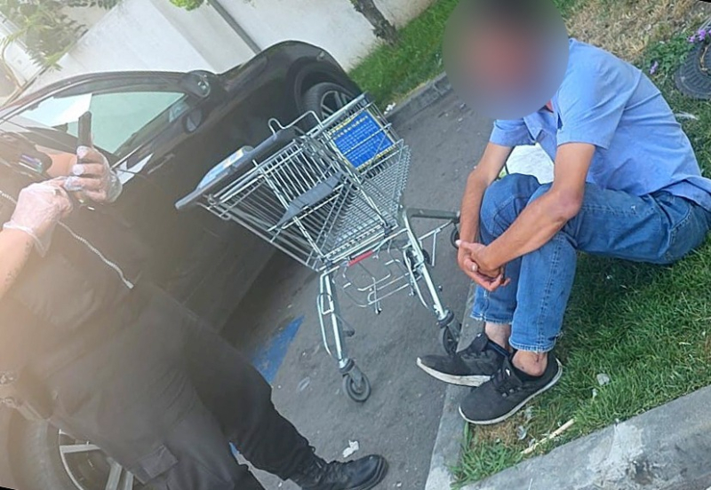 Bilanț săptămânal al activității Direcției Generale Poliția Locală Constanța