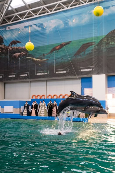 Madrigal - Doar 4 zile până la primul spectacol, la Delfinariu, din turneul nostru la SEAS 2026!