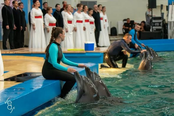 „ULTRAsunete” la Delfinariu: Madrigal și delfinii au cucerit publicul din Constanța!