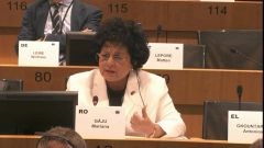 Mariana Gâju: „Viitorul industrial verde al Europei trebuie să includă și comunitățile rurale”