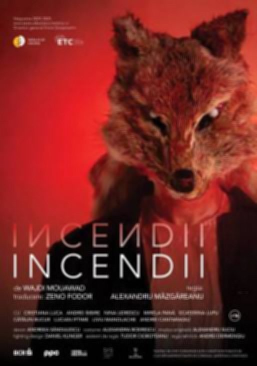 „Incendii”, prima reprezentație din stagiune: sâmbătă, la Sala Mare a TSC