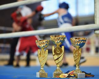 Pugiliștii CS Medgidia au cucerit numai medalii de aur și argint!