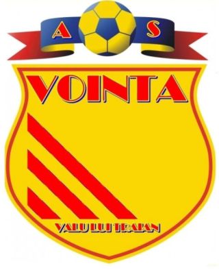 Copiii din Valu lui Traian pot practica sport la clubul local „Voința”