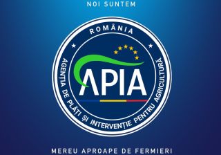 APIA: Producătorii vitivinicoli pot depune cereri de finanțare pentru investiții până la 19 octombrie 2026