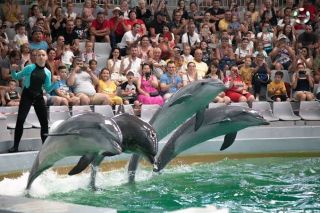 Săptămâna Verde a început cu bucurie la Delfinariul Constanța!